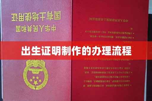 蒙自出生证明制作的办理流程